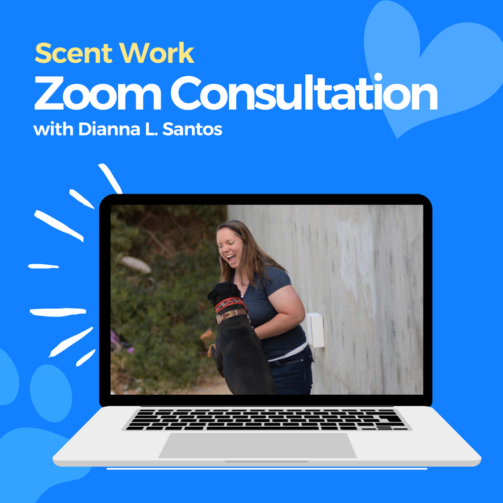 Scent Work Zoom Consultation: Dianna L. Santos