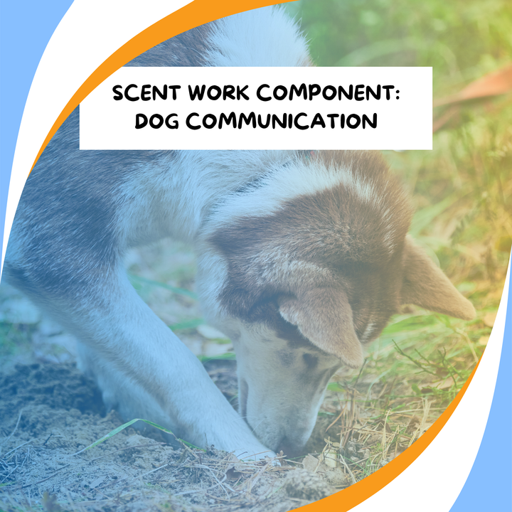 Components of Scent Work: Dog Communication Webinar