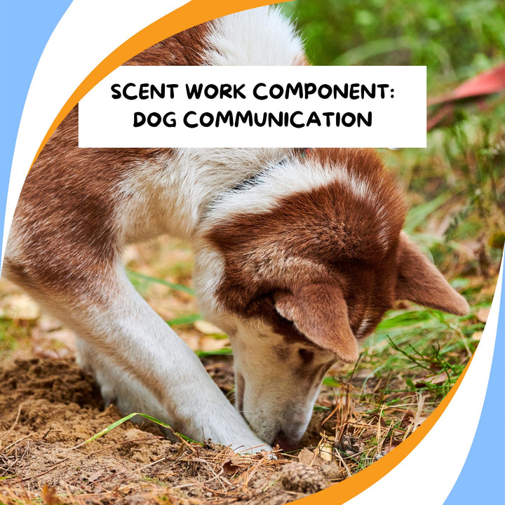 Components of Scent Work: Dog Communication Webinar