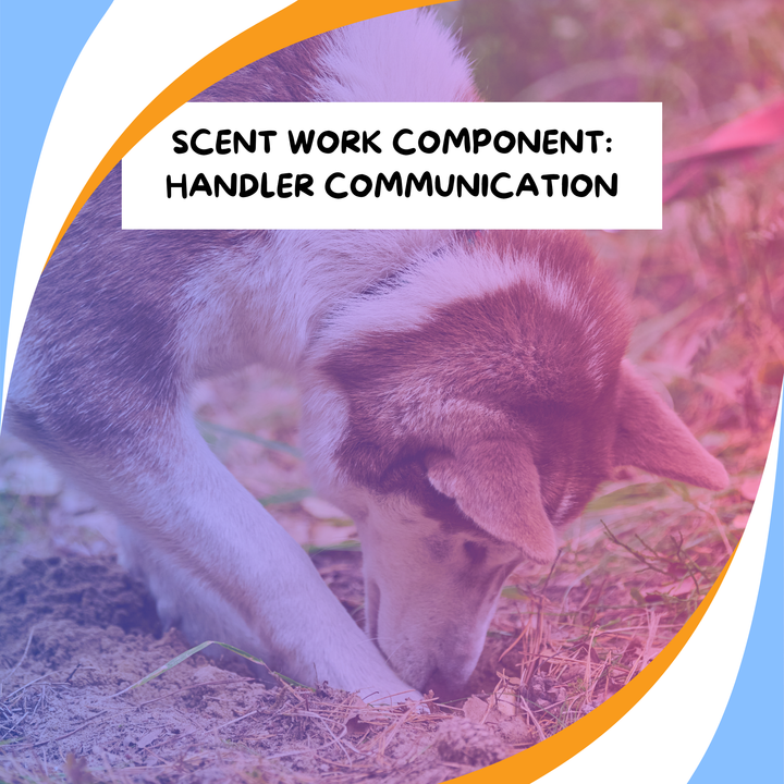 Components of Scent Work: Handler Communication Webinar