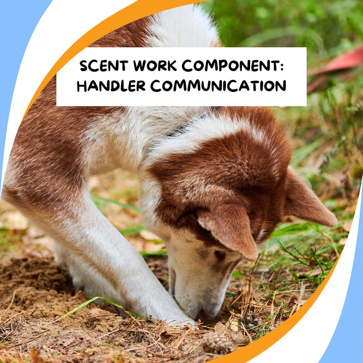 Components of Scent Work: Handler Communication Webinar