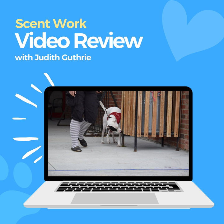 Scent Work Video Review: Judith Guthrie