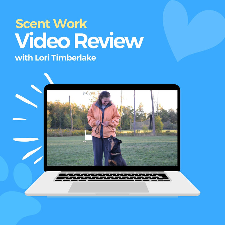 Scent Work Video Review: Lori Timberlake