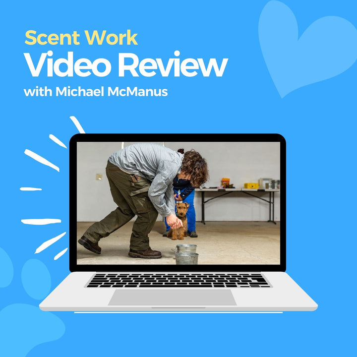 Scent Work Video Review: Michael McManus