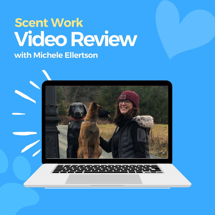 Scent Work Video Review: Michael McManus