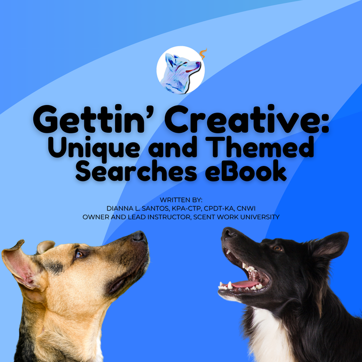 Gettin' Creative: Unique and Themed Searches eBook