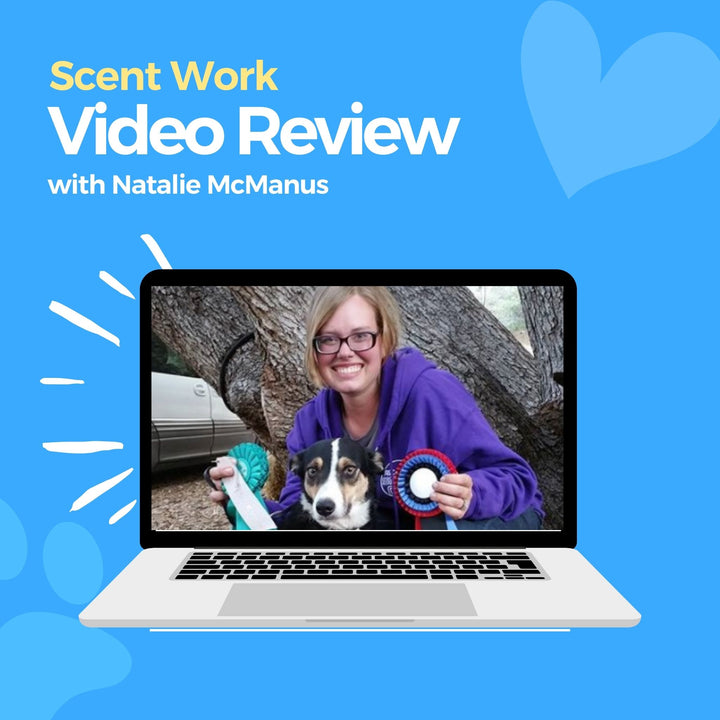 Scent Work Video Review: Natalie McManus