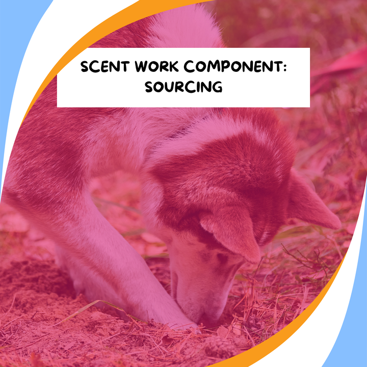 Components of Scent Work: Sourcing Webinar