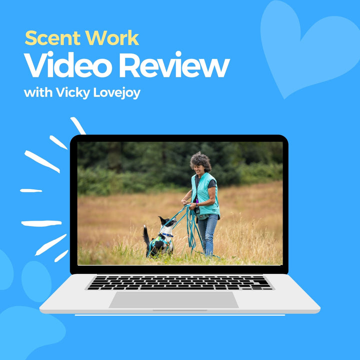 Scent Work Video Review: Vicky Lovejoy