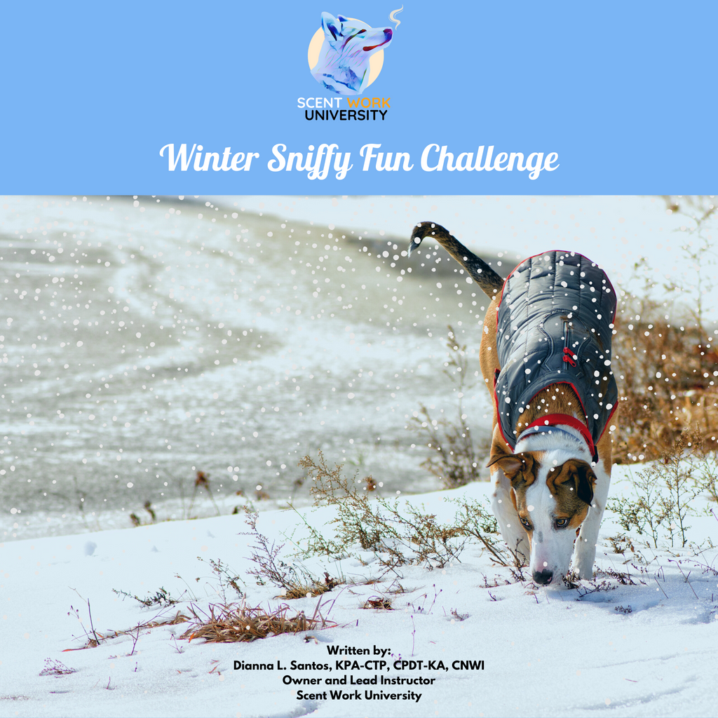 Sniffing Away the Winter Blues: Intro to Nosework - Instinct Dog Behavior &  Training